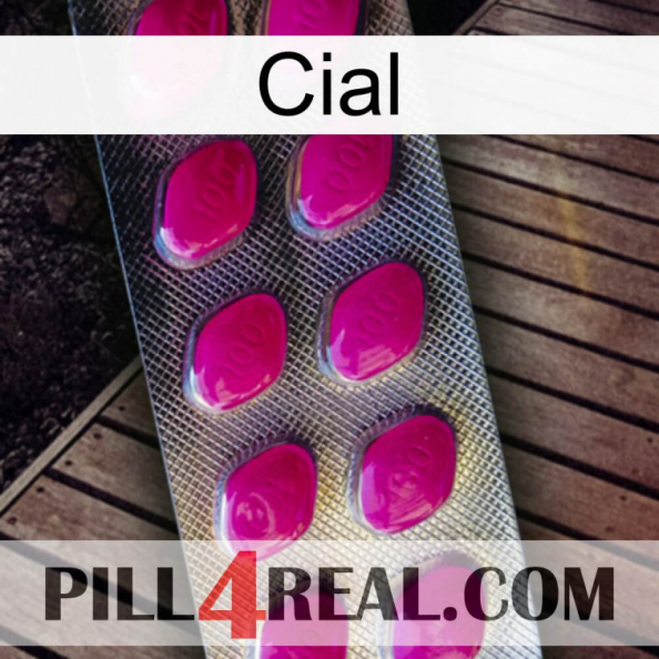 Cial 09